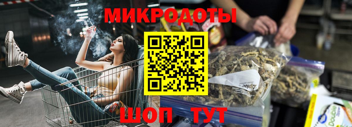 Псилоцибиновые грибы Psilocybe Омск