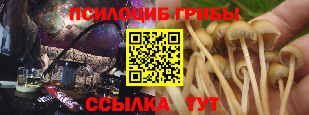 Галлюциногенные грибы Psilocybe  как найти закладки  Омск  Вход с VPN 